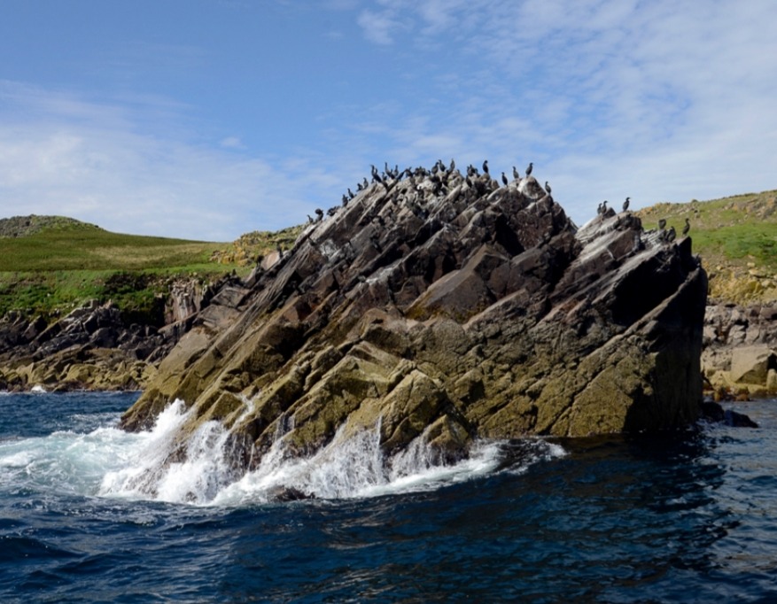 The Saltee Islands are situated approximately 5 kilometers off the coast of