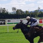 racing in kilkenny